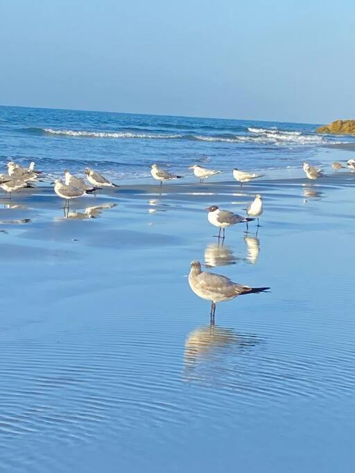 Frente Al Mar Apartamento Cartagena